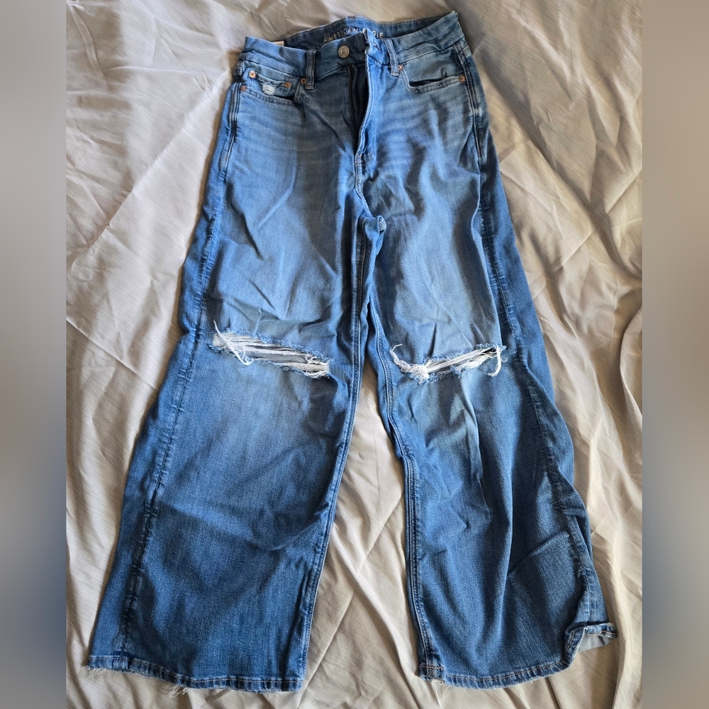 American Eagle Outfitters Blue Denim Baggy Wide Leg Jeans